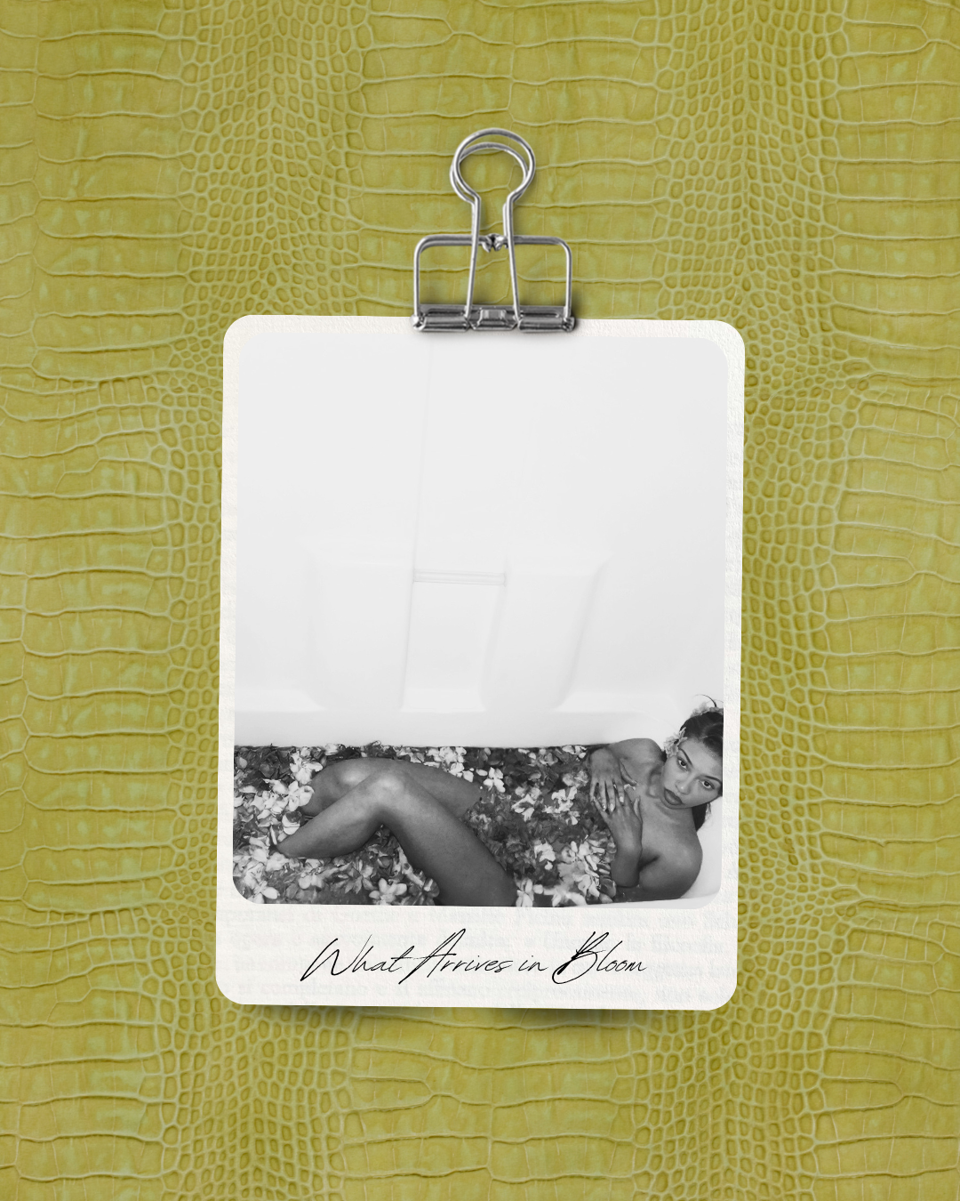what arrives in bloom cover